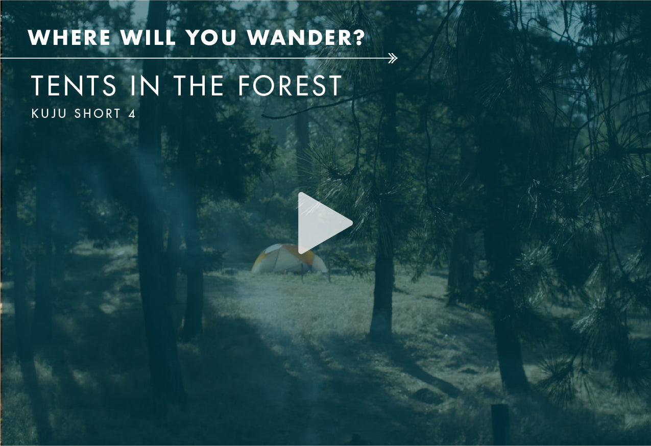 Where Will You Wander? - Tents in the Forest