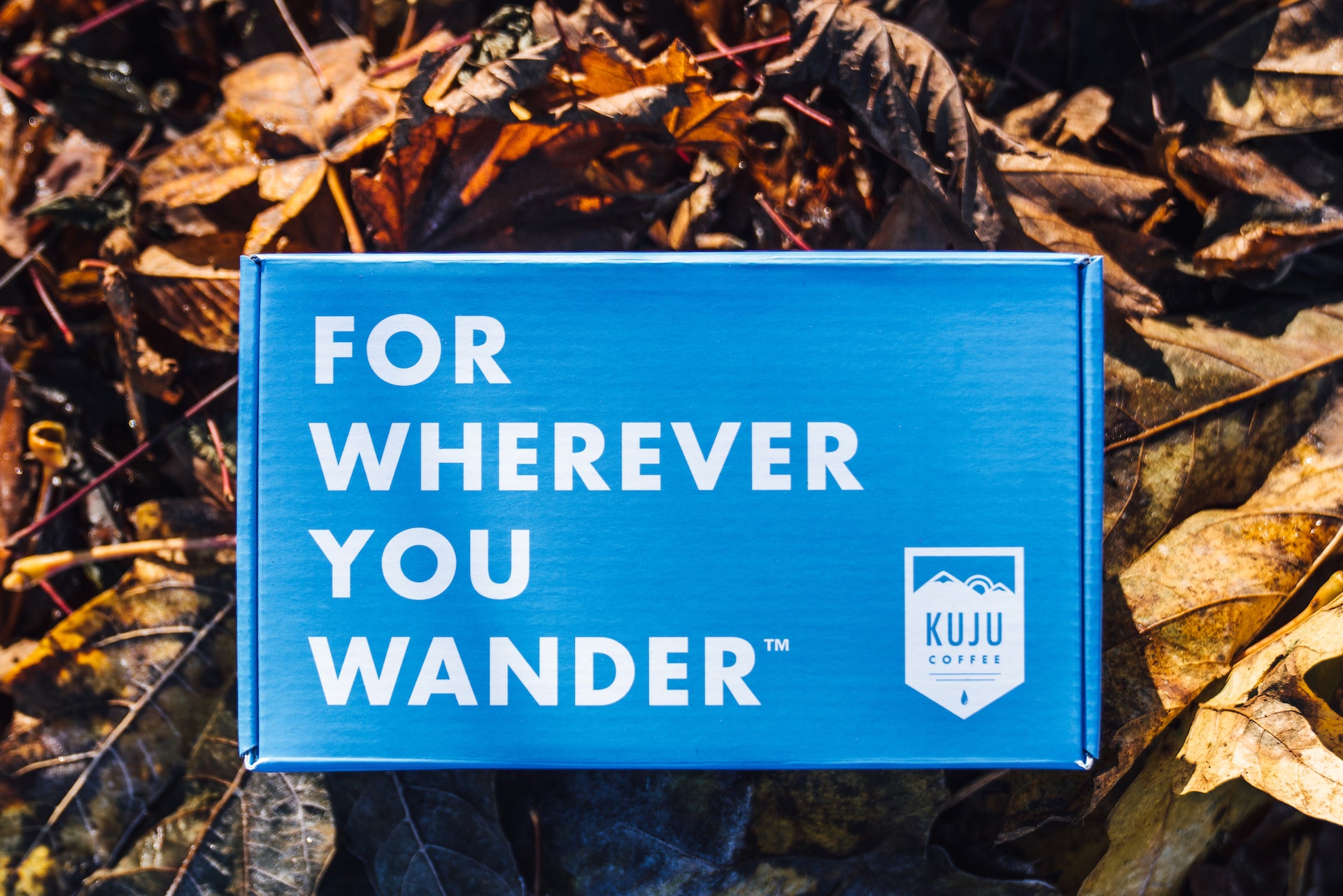 Fall vs. Summer Camping