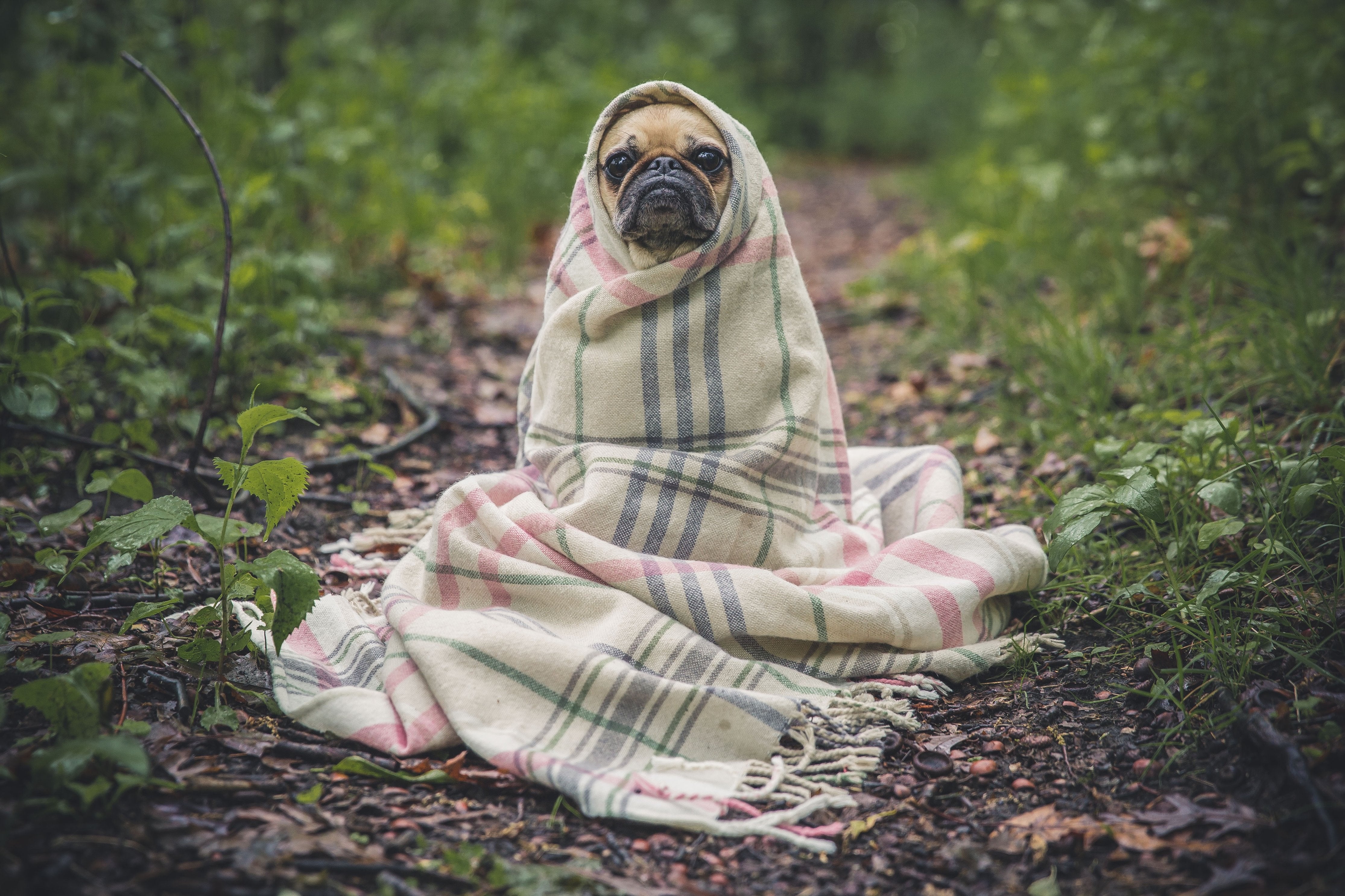 6 Ways To Cozy Up & Enjoy Your #KujuMoments