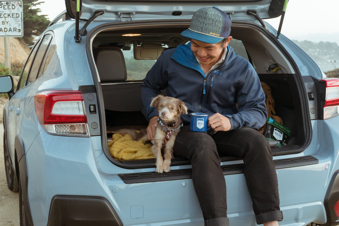 Puppy in trunk of Subaru