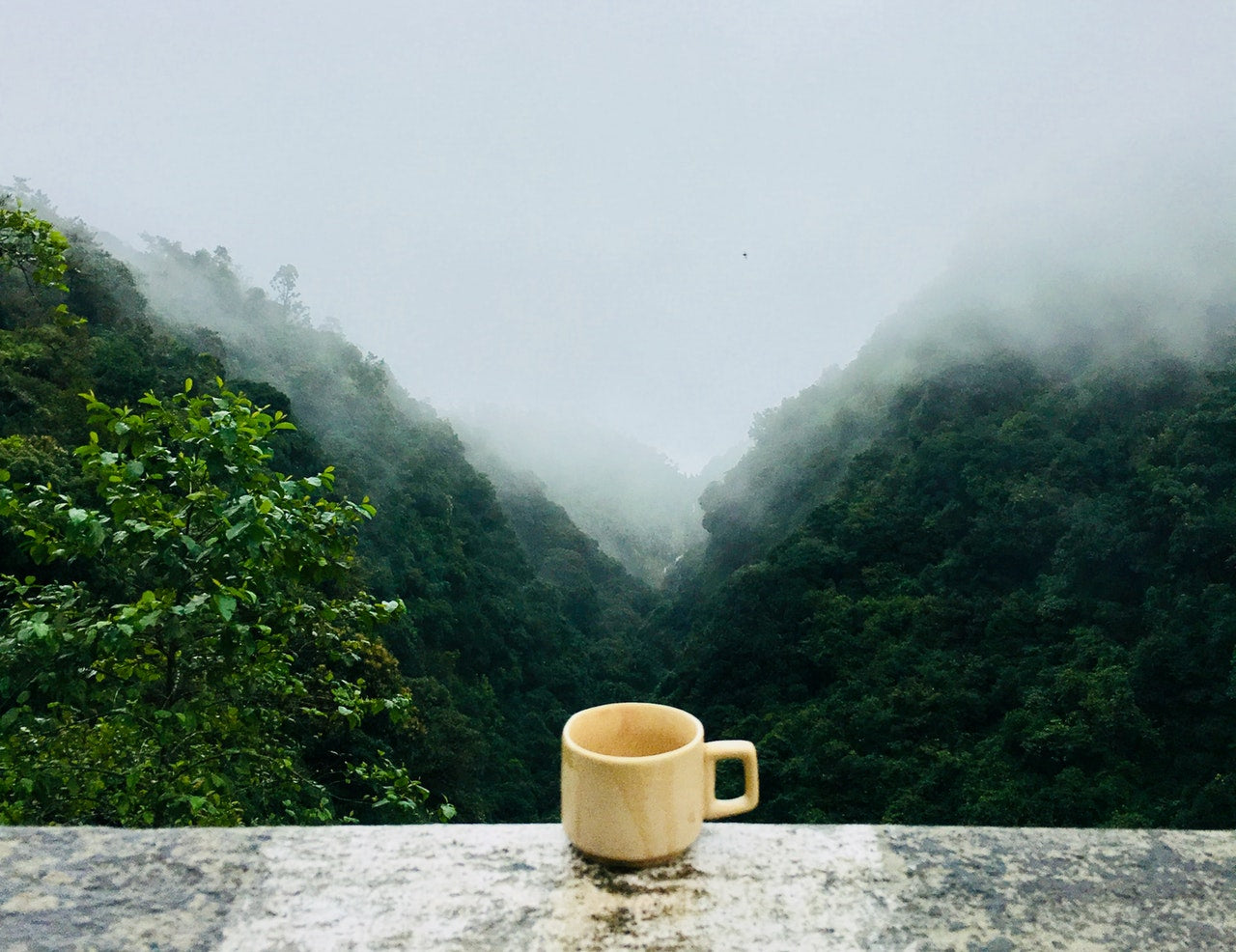 Top 5 coffee benefits for workouts